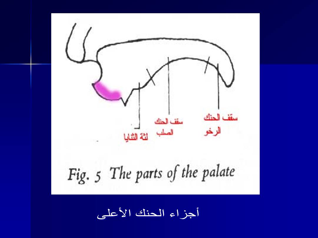 تجويد الحرف - مخارج الحروف